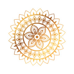 golden and circular mandala vector illustration design