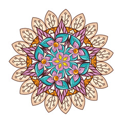 colorful and circular mandala mandala vector illustration design