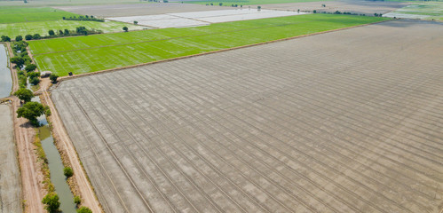 Aerial  view from flying drone of  Field rice  with landscape green pattern nature background / top view field rice