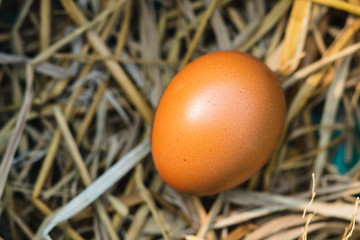 Closeup fresh eggs on straw background