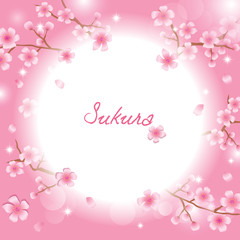 Sakura flowers on pink background