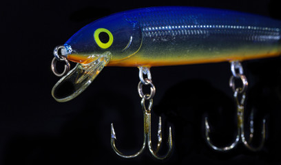 Blue and Orange Lure