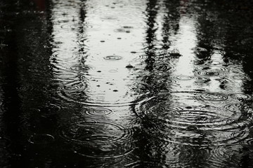 水たまりに降る雨 - obrazy, fototapety, plakaty