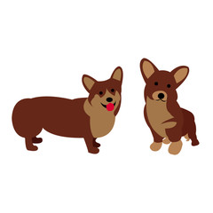 corgi, corgi dog, animal, dog, pet, puppy