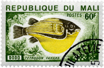 Fish on Mali Postage Stamp