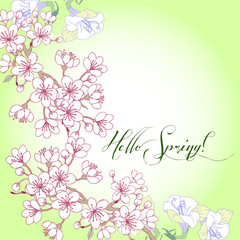 Background with sakura. Hand drawn spring blossom trees