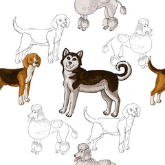 Seamless pattern with dogs. Hand drawn dogs sketches