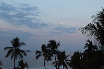 Palmeras y Luna Ixtapa-Zihuatanejo M&eacute;xico Anochecer 