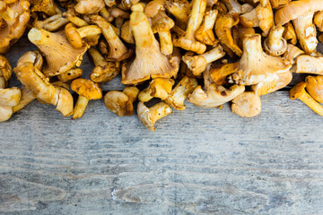 gesammelte pfifferlinge auf holztisch