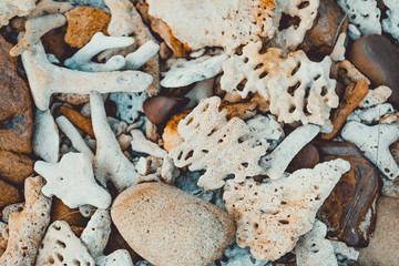 Pieces of coral reef lies on the beach . Koh Rong Sanloem, Cambodia. Lazy Beach.