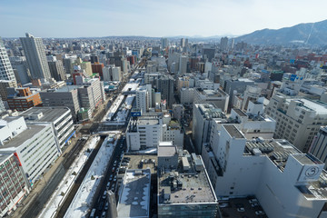 Fototapeta na wymiar さっぽろテレビ塔から見る札幌市街の風景