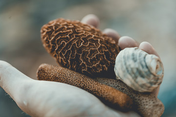 Hand of a man with pieces of petrified coral reef, vintagestyle filter. Lazy beach, Koh Rong Sanloem © stockcrafter