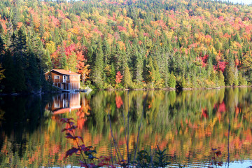 Fototapeta premium cabane au Canada en automne, Québec 