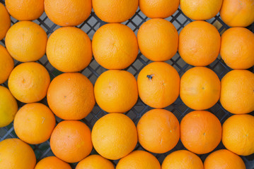 oranges in box
