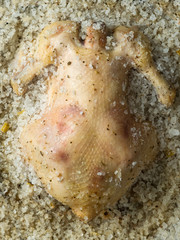 baked salt crust chicken