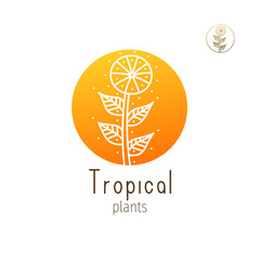 Tropical floral herb