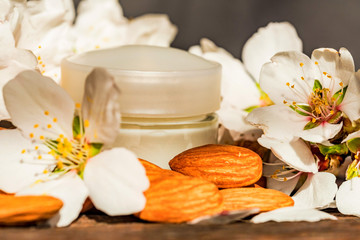 Fototapeta na wymiar Almonds, face cream and white flowers