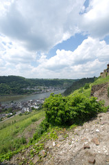 Blick in das Tal der Mosel ges&auml;umt von Winreben an einem Sonnentag im Sommer 