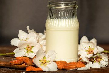 Obraz na płótnie Canvas Almond with jar of almond milk and white flowers