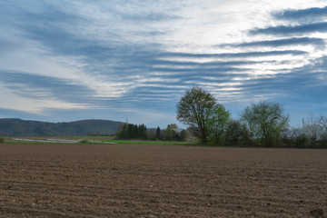 Feld mit Gewitterwolken