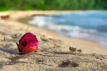 Red, juicy dragon fruit lies on the sand. Sunset at the Beach with with jungle in the background.