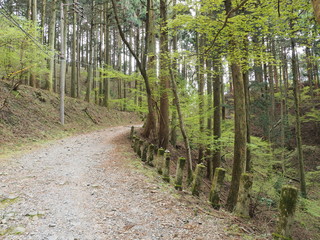 京都