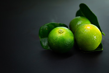 Lime a hybrid citrus in black background