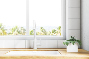 White kitchen sink near window with tropic view