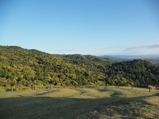 Obraz premium 奈良