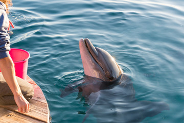 At Dolphin Reef in Eilat