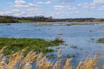 Combe Haven winter-flooded valley in East Sussex, England