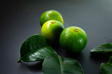 Lime a hybrid citrus in black background