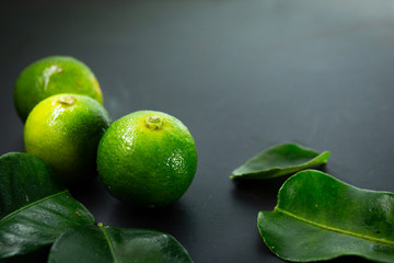 Lime a hybrid citrus in black background