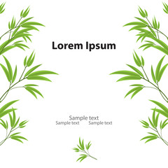 Naklejka premium Chinese or japanese green bamboo grass leaves isolated on white background with copy space.Oriental wallpaper vector illustration. Tropical asian plant background.Decorative greenery frame