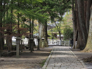 高野山