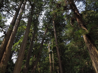 高野山