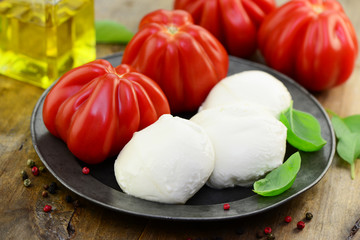 Tomaten Öl Mozzarella