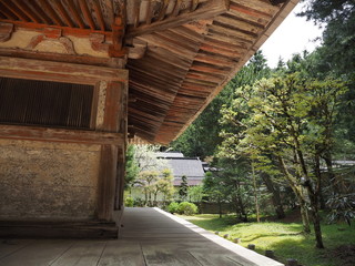 Fototapeta premium 高野山