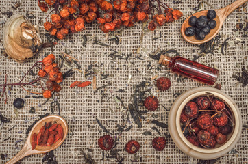 Herbal medicine concept. Alternative medicine. Dry curative wild rowan berry and apple tree berry herbs and essential oil on burlap sackcloth background with copy space.