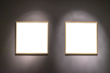 blank frame in gallery