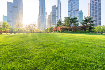 Fototapeta premium green lawn with modern building