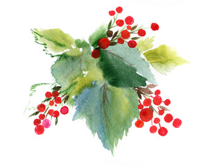 Holly berry leaves branch