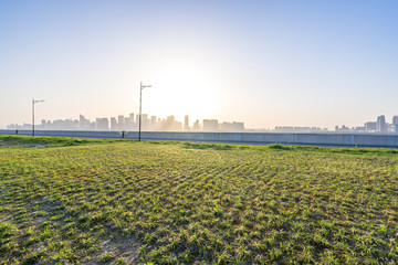 green lawn with modern building