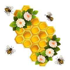Bees, honeycombs and flowers isolated on white