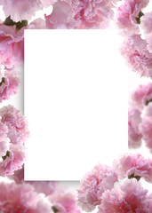 Background frame with beautiful spring landscape