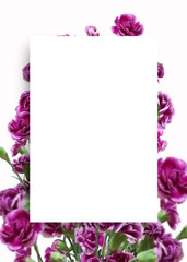 Background frame with beautiful spring landscape