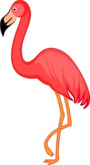 Pink flamingo on white background