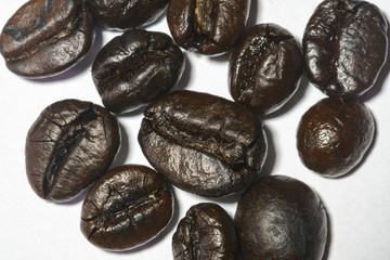 Coffee seed with white paper background