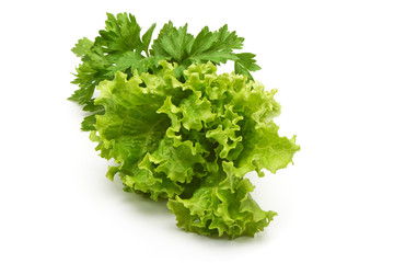 Green lettuce with parsley, isolated on white background.