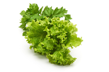 Fototapeta premium Green lettuce with parsley, isolated on white background.